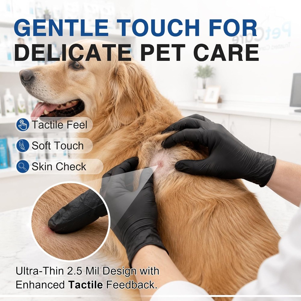 일회용 검정 니트릴 장갑 파우더 프리 라텍스 프리 대량 - Exam Glove Nitrile 리뷰 및 가격
