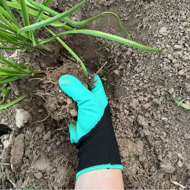 손톱이 내장된 정원용 장갑, 방수 정원 작업용 장갑,  - Gardening Glove Waterproof 리뷰 및 가격